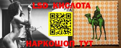 прущие грибы Будённовск