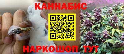 прущие грибы Будённовск