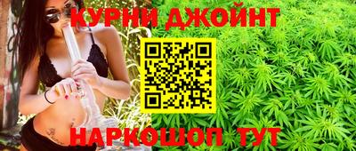 прущие грибы Будённовск