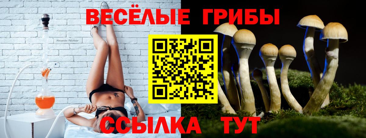 Галлюциногенные грибы MAGIC MUSHROOMS  Вход с VPN  Луга 