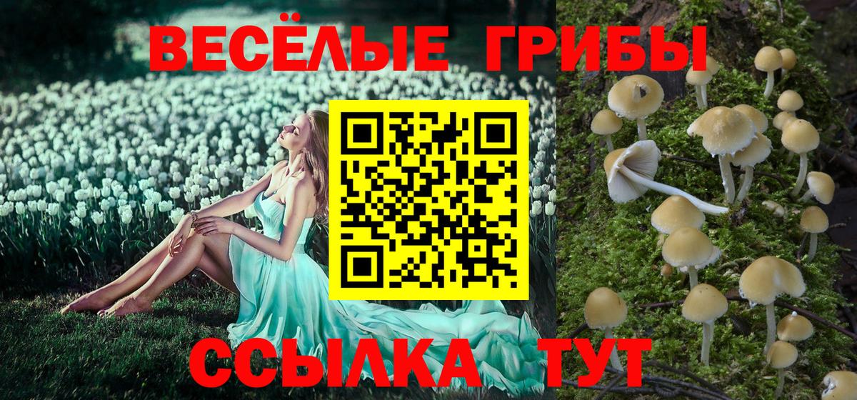 Псилоцибиновые грибы прущие грибы Луга